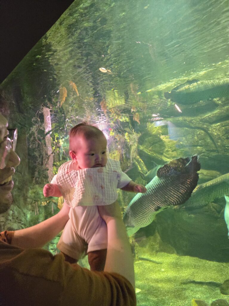 다누리 아쿠아리움 민물고기 근접 촬영