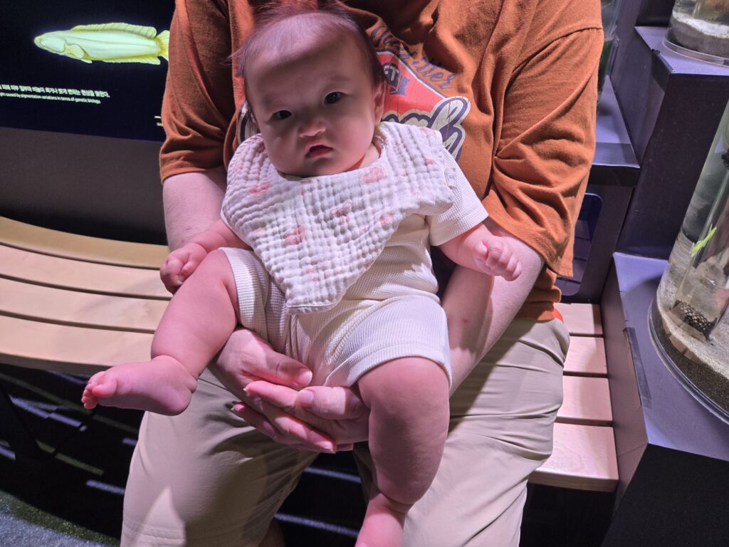 아이와 함께 방문한 다누리 아쿠아리움