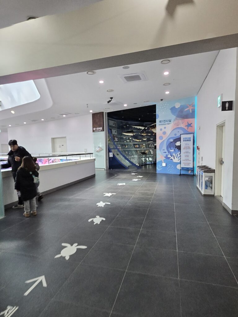씨큐리움 해양생물 전시관 내부 모습