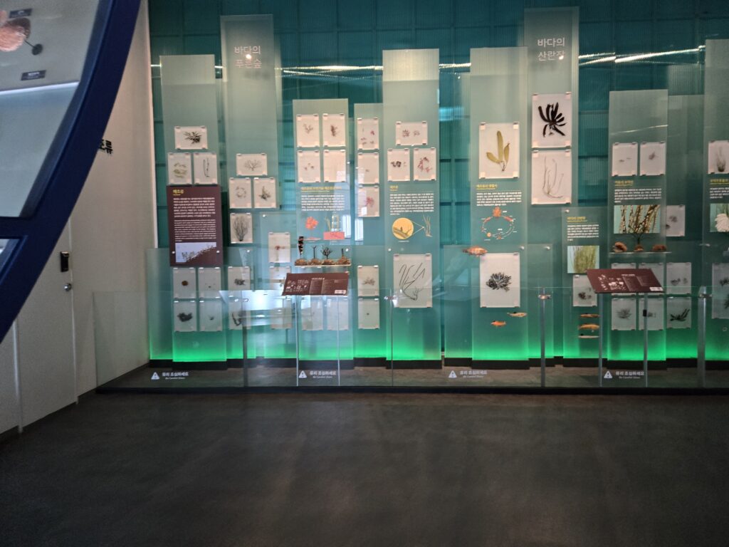 씨큐리움 심해생물 전시 공간