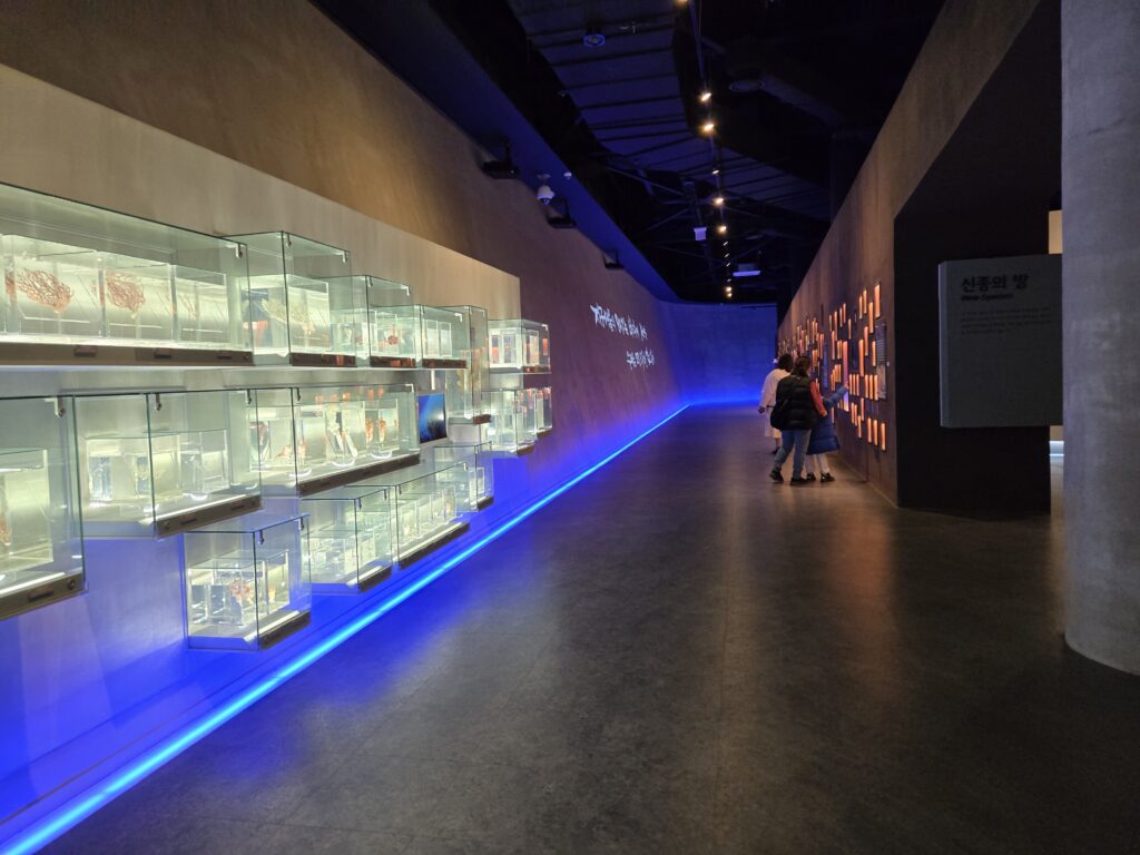 해양 생물 표본이 전시된 씨큐리움 내부