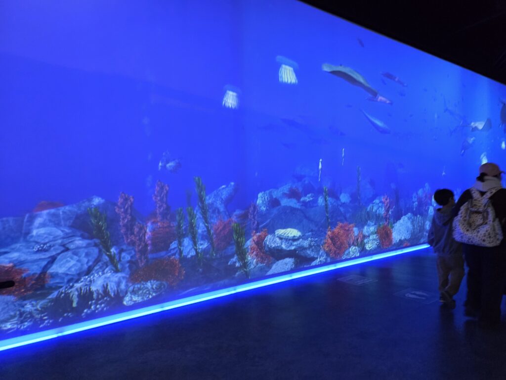 씨큐리움 체험형 전시 콘텐츠 이용 모습