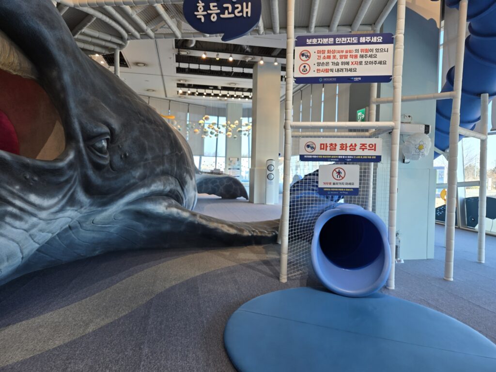 아이와 함께 방문한 서천 씨큐리움 체험 공간