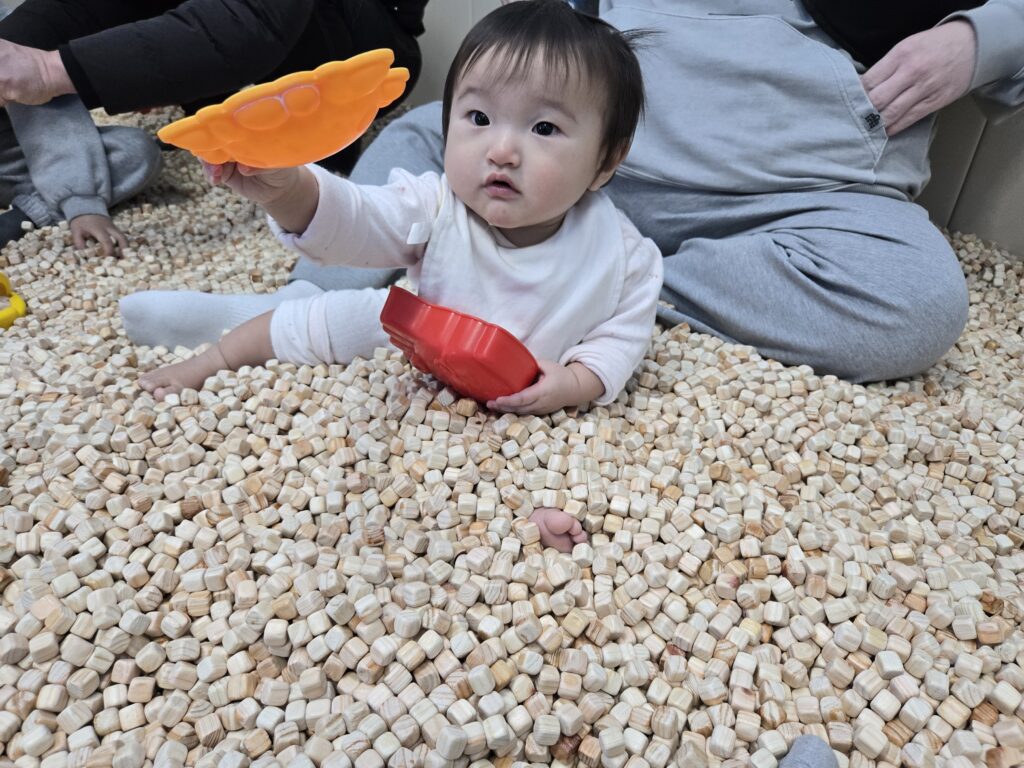 편백나무로 노는 모습