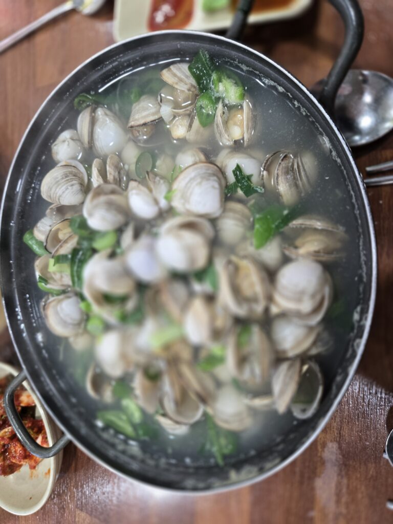 오씨칼국수 대표 메뉴 물총 조개 요리