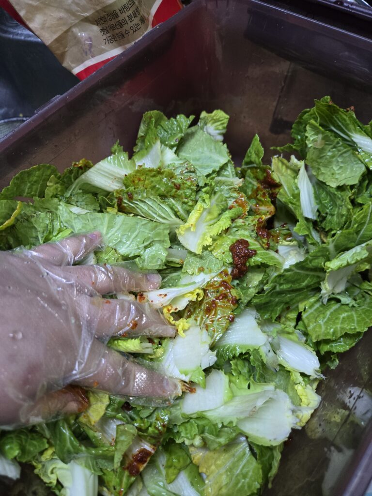 봄동 겉절이 레시피 양념과 봄동을 버무리는 과정