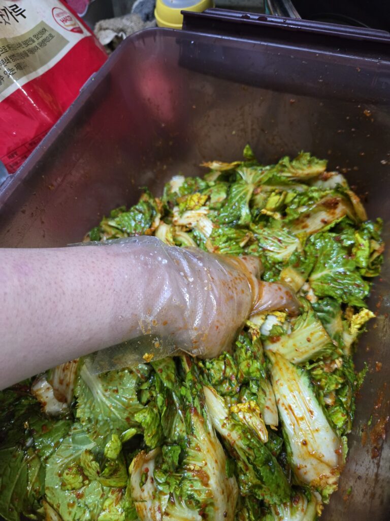 아삭한 봄동 겉절이 레시피 완성 직전 버무리는 모습