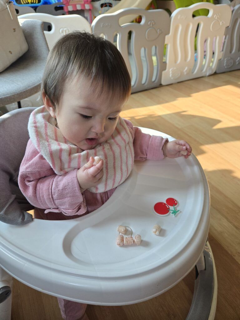 아기용 부드럽고 바삭한 팡 과자, 첫 간식 추천