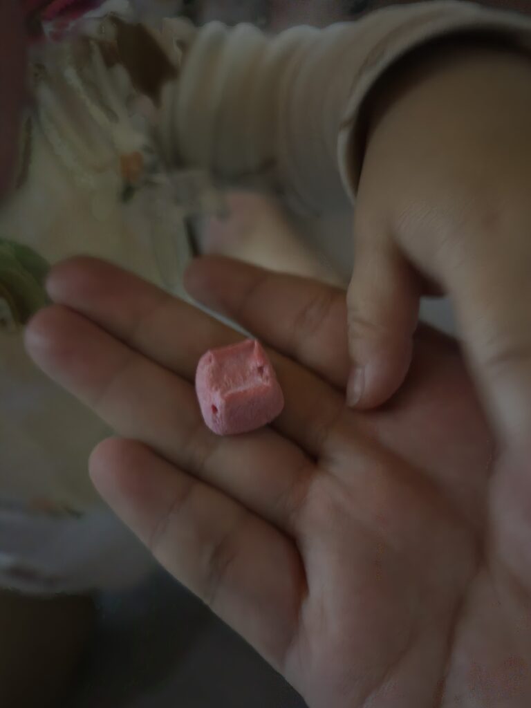 동결건조된 요거트 큐브, 아기 건강 간식