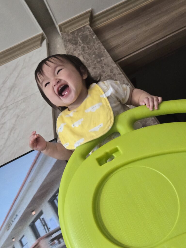 돌아기 미끄럼틀 타는 모습