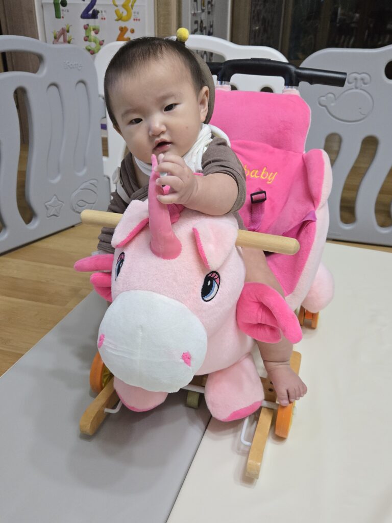 유아 균형감각 발달에 좋은 아기 흔들말