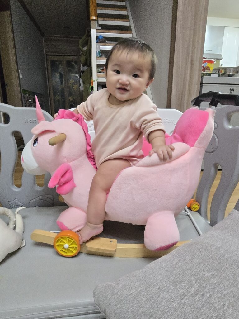 유아 장난감 아기 흔들말 상세 모습