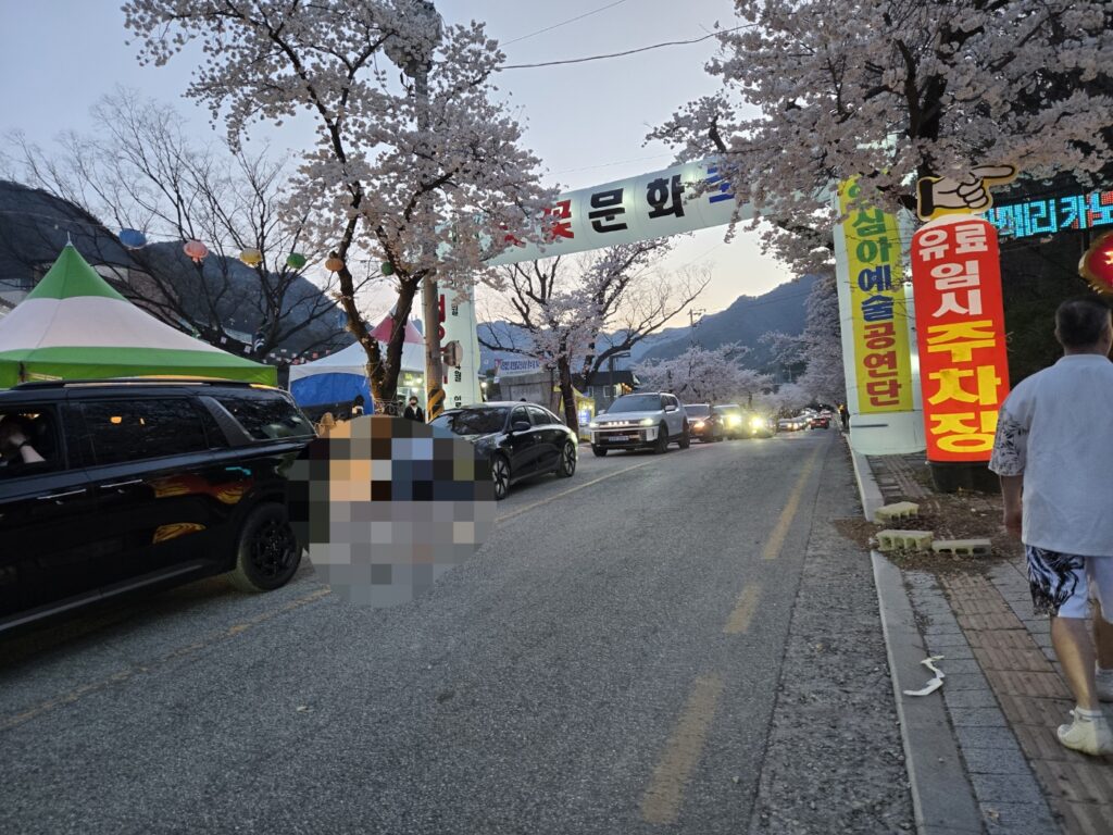 계룡산 벚꽃축제 동학사 벚꽃길 터널 전경
